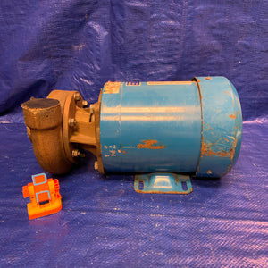MP Pumps 130 Series Centrifugal Pump, End Suction, Bronze, w/ Elektrim 38CF-3-1-36 1HP (Used)