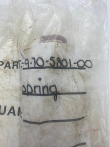 Stearns 9-70-5801-00 Spring (No Box)