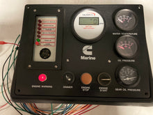 Load image into Gallery viewer, Cummins 3973609 Instrument Panel (Used)