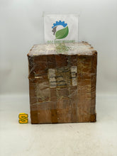 Load image into Gallery viewer, GBM YDK120/20-6-50A Chromalox 193-302120-009 AC Motor 1/15HP *Box of (3)* (Open Box)