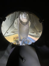 Load image into Gallery viewer, Carlisle &amp; Finch RASP-E2 Searchlight, 12&quot; Incandescent, Wheel Control, 115 VAC (Used)