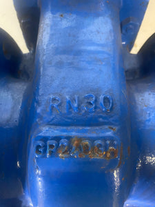 Dikkan DN100, PN16, RN30, SG12, 4" Gate Valve (No Box)