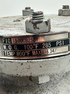 Milvaco 1570CB2SCY 2" Raised Faced Flange Check Valve, Class 150 (No Box)