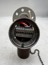 Load image into Gallery viewer, Pushna PII-1016-15 PSE Thermocouple w/ 13&quot; Tapered Shank, 7&quot; Backing Flange (New)