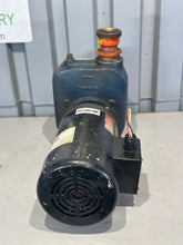 Load image into Gallery viewer, Franklin Electric FBSEF-300-TC Transfer Pump w/ 3HP Electric Motor, 3450 RPM (Used)