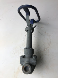 LVF 3/4" 800 Iron Gate Valve (Used)