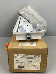 Cooper Crouse-Hinds Pauluhn FAS217 Fluorescent Lighting Fixture (Open Box)