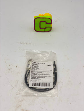Indicator Light, 20C841, RED, Flush Head, 1/2