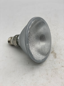 Prism HP38FL90, Par38, 130V, Nickel Plated Brass Base Light Bulb (New)