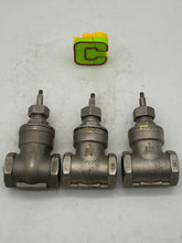 Load image into Gallery viewer, Gate Valve, 1&quot;, CF8M, 200 WOG, *Lot of (3)* (Used)