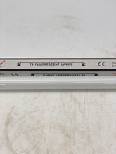 Load image into Gallery viewer, Ricky T8 15W 6500K Fluorescent Bulb, Daylight, 18&quot; *Lot of (9)* (No Box)