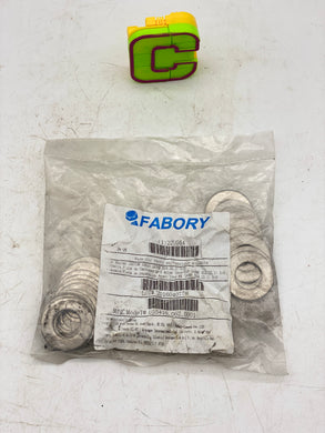 Fabory U55410.062.0001 Flat Washer, 5/8