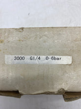 Load image into Gallery viewer, Pressure Transmitter, Model 3000, 0-6 0Bar, Thread G 1/4, (Open Box)
