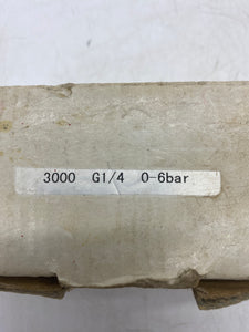 Pressure Transmitter, Model 3000, 0-6 0Bar, Thread G 1/4, (Open Box)