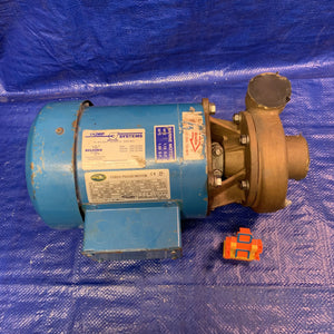 MP Pumps 130 Series Centrifugal Pump, End Suction, Bronze, w/ Elektrim 38CF-3-1-36 1HP (Used)