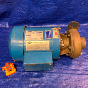 MP Pumps 130 Series Centrifugal Pump, End Suction, Bronze, w/ Elektrim 38CF-3-1-36 1HP (Used)