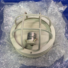 Load image into Gallery viewer, Marine Lighting Fixture, Caged Insulated Wall Sconce (Open Box)