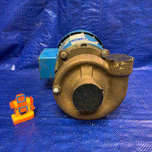 MP Pumps 130 Series Centrifugal Pump, End Suction, Bronze, w/ Elektrim 38CF-3-1-36 1HP (Used)