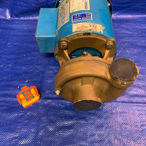 MP Pumps 130 Series Centrifugal Pump, End Suction, Bronze, w/ Elektrim 38CF-3-1-36 1HP (Used)