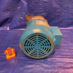 MP Pumps 130 Series Centrifugal Pump, End Suction, Bronze, w/ Elektrim 38CF-3-1-36 1HP (Used)