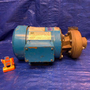 MP Pumps 130 Series Centrifugal Pump, End Suction, Bronze, w/ Elektrim 38CF-3-1-36 1HP (Used)